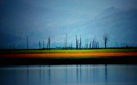 Rivers at Corbett National Park