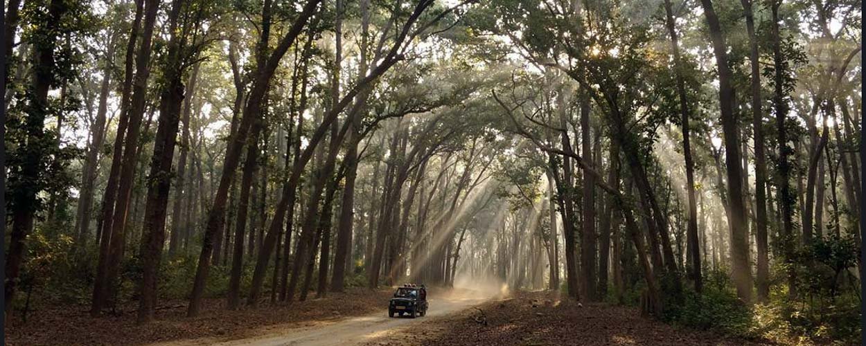 About Us - Corbett Travel Experts