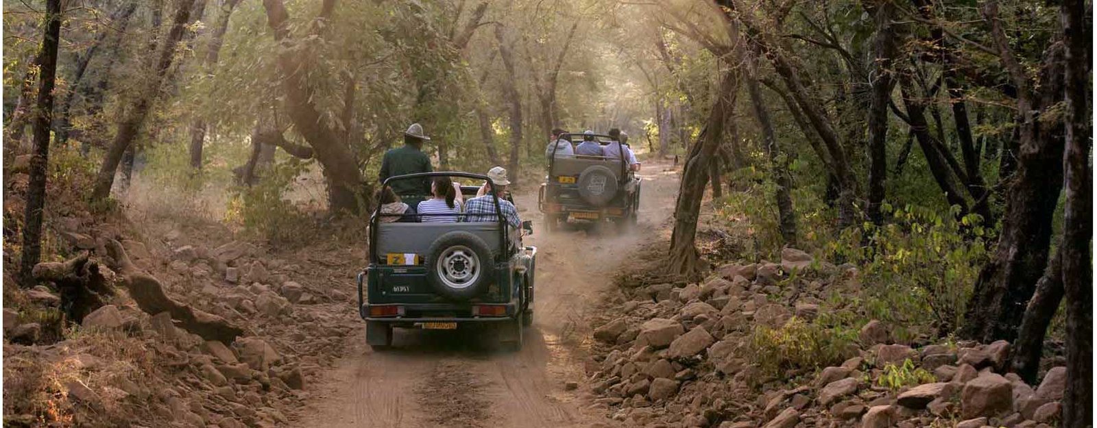 Jeep Safari Tour in Jim Corbett National Park – Complete Guide, Tariff, Timings & Terms